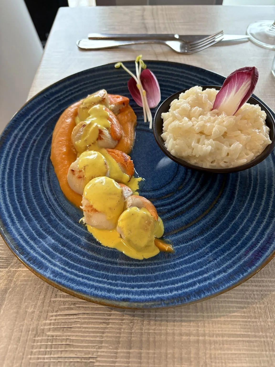 Plat ou salle du restaurant Saveurs du Brusc